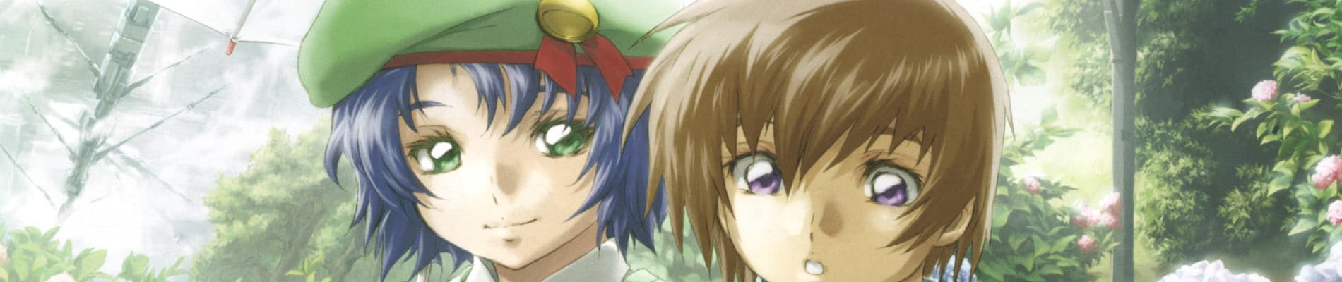 Mobile Suit Gundam Seed Special Edition