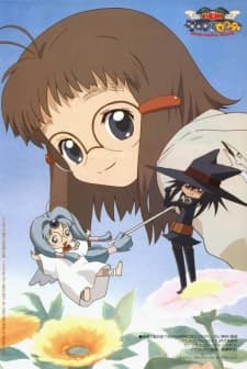 Omishi Magical Theater Risky Safety